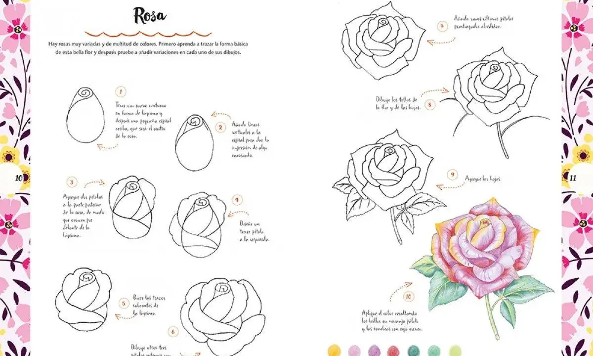 Guía para dibujar flores paso a paso: aprende a trazar una rosa desde cero, añadiendo pétalos, tallos y hojas hasta lograr un dibujo detallado y coloreado.