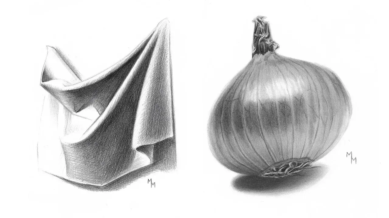 Dibujo a lápiz de una tela doblada y una cebolla. La tela muestra pliegues y sombras detalladas, mientras que la cebolla tiene una textura realista.