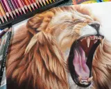 Impresionantes dibujos de animales realistas a color, un león rugiendo con detalle asombroso, rodeado de lápices de colores.