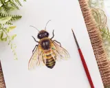 Abeja dibujo realista con detalles en acuarela sobre papel blanco, rodeada de vegetación y un pincel.
