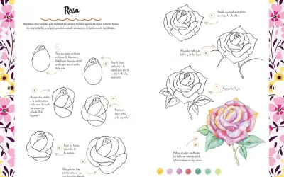 Guía para dibujar flores paso a paso: aprende a trazar una rosa desde cero, añadiendo pétalos, tallos y hojas hasta lograr un dibujo detallado y coloreado.