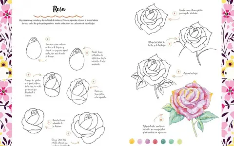 Guía para dibujar flores paso a paso: aprende a trazar una rosa desde cero, añadiendo pétalos, tallos y hojas hasta lograr un dibujo detallado y coloreado.