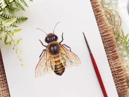 Abeja dibujo realista con detalles en acuarela sobre papel blanco, rodeada de vegetación y un pincel.
