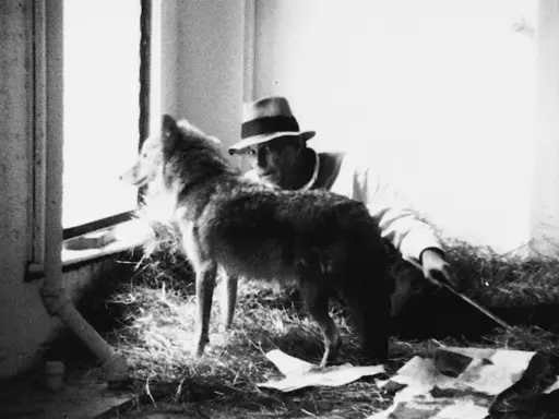 Un hombre con sombrero mira a un lobo junto a una ventana. Me gusta América y América me quiere.