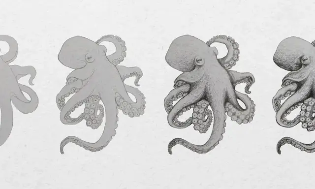 Secuencia de un pulpo dibujo realista, desde un boceto simple hasta un detallado estudio de sombreado y textura.