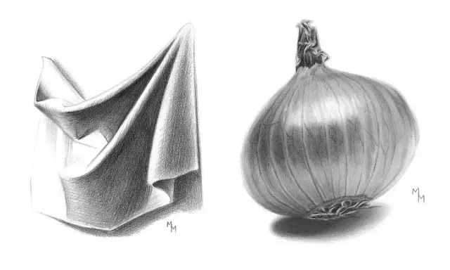 Dibujo a lápiz de una tela doblada y una cebolla. La tela muestra pliegues y sombras detalladas, mientras que la cebolla tiene una textura realista.