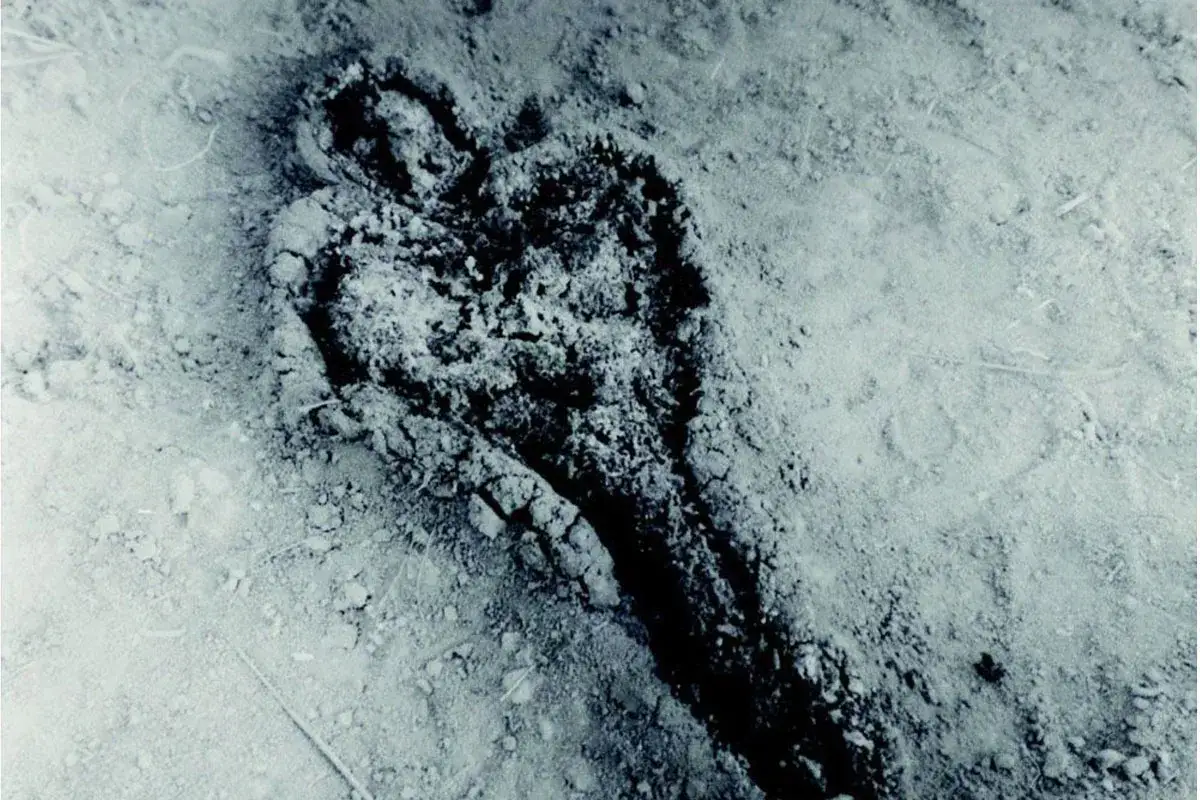 Silueta humana en tierra, una de las obras de Ana Mendieta, evocando la conexi&oacute;n con la naturaleza y la huella del cuerpo.