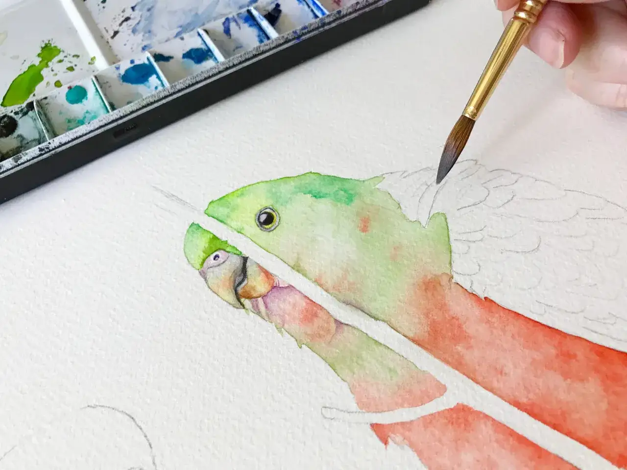 Pintando un loro con acuarelas. &iexcl;Excelentes ideas para pintar con acuarelas!