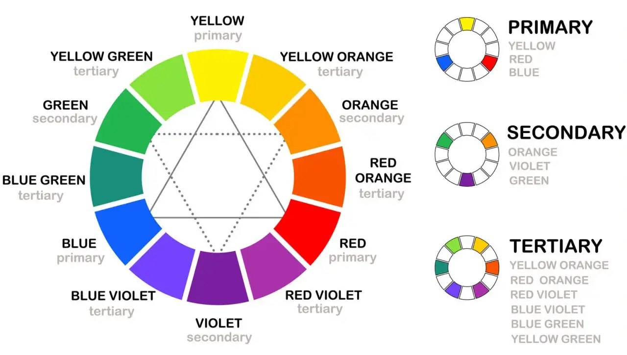 El círculo cromatico muestra colores primarios, secundarios y terciarios, organizados en un espectro visual.